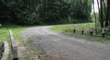 В Сумской лесхозах продолжается строительство лесных дорог