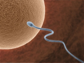 Хвост сперматозоида оказался похож на ДВС