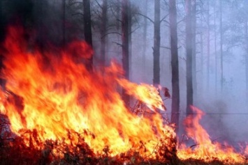 Ситуация с количеством пожаров в Симферополе вызывает серьезную озабоченность, - МЧС