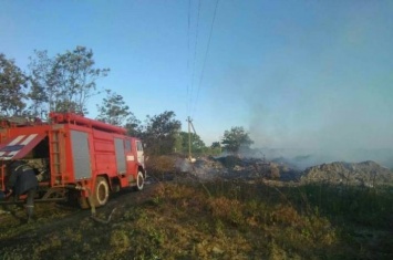 Масштабный пожар под Киевом: Огонь охватил 2 гектара