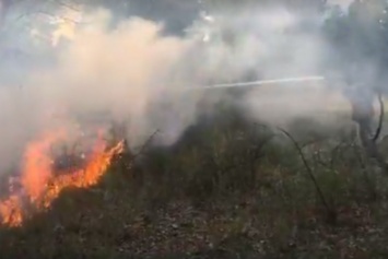 В Запорожье на Южном тушат масштабный пожар, - ВИДЕО