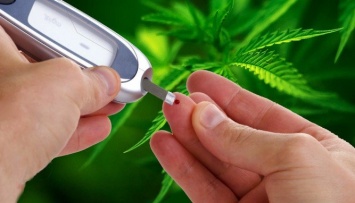 Ученые нашли связь между курением марихуаны и ранним развитием диабета