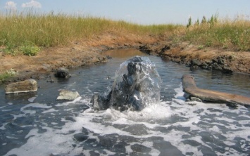Лечебные грязи и воды Херсонщины оценили медики со всей Украины
