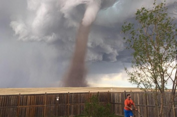 Невозмутимый газонокосильщик на фоне торнадо стал знаменитостью
