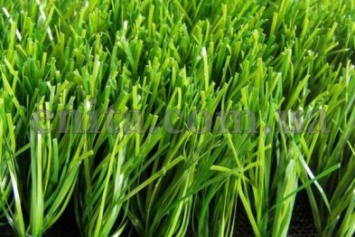 Раз траивнка, два травинка: Эколог-активист посчитал, сколько травы в Кривом Роге (ФОТО)