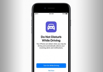Apple разработала функцию "авиа режима" для водителей