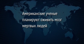 Американские ученые планируют оживить мозг мертвых людей