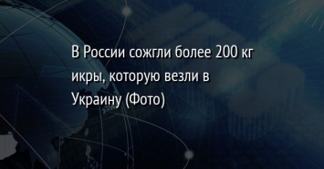 В России сожгли более 200 кг икры, которую везли в Украину (Фото)