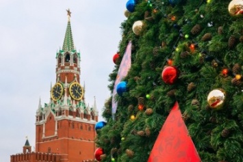 В Крыму высадят семена Кремлевской елки