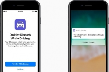 Для «Айфонов» придумали водительский режим