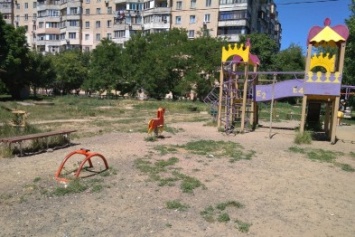 В Одессе на Котовского детскую площадку захватили свиньи (ФОТО)