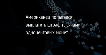 Американец попытался выплатить штраф тысячами одноцентовых монет