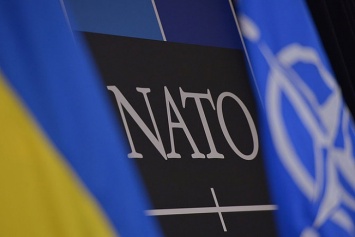 НАТО проведет масштабные учения вблизи Украины