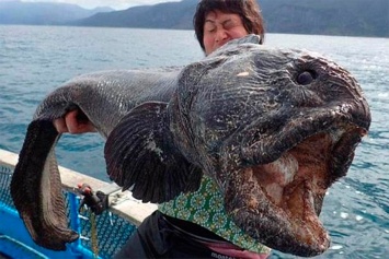 Близ берегов Фукусимы японский рыбак выловил рыбу-чудовище