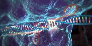Эксперты опровергли статью о побочных мутациях при CRISPR/Cas9