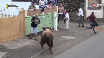 Жуткое видео: бык поднял на рога снимавшего на iPad прохожего