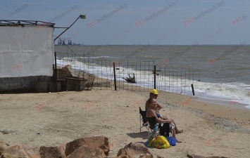 В Запорожской области на берег моря выбросило труп дикого животного