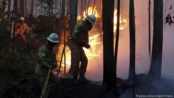 ЕС спешит на помощь Португалии в борьбе с лесными пожарами