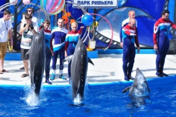 В Сочи начались съемки телешоу со «звездами» и дельфинами