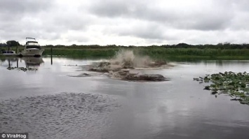 Мужчина во Флориде снял впечатляющее видео на реке - теперь ему грозит 60 дней тюрьмы