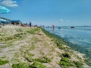 Что с пляжами: состояние курортных зон Азовского моря пугает отдыхающих