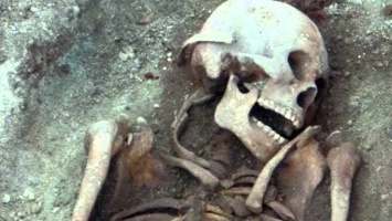 Найденные в Кемеровской области останки принадлежали одному человеку