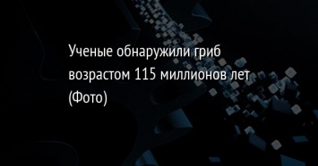 Ученые обнаружили гриб возрастом 115 миллионов лет (Фото)