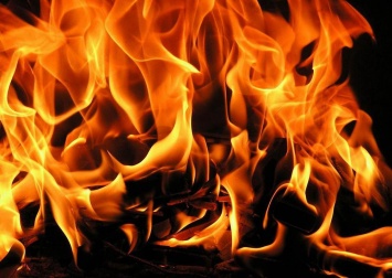 В российской тайге только за сутки выгорело более 14 тысяч га