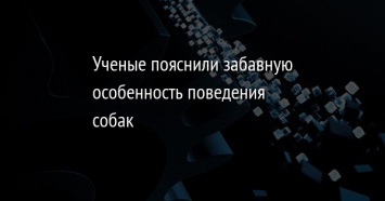 Ученые пояснили забавную особенность поведения собак