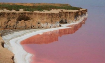 Народная артистка восхищается Мертвым морем на юге Украины (фото)