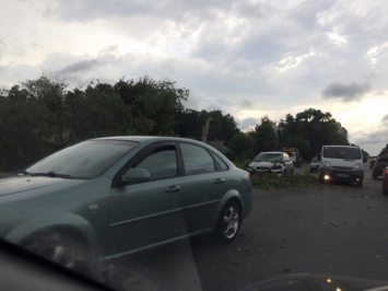 Под Киевом дерево рухнуло на трассу и блокировало движение из Чернигова