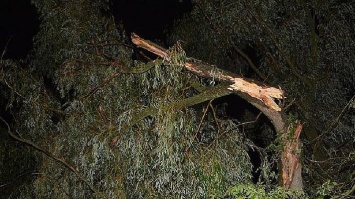 В Черкасской области от буревала пострадали 48 человек