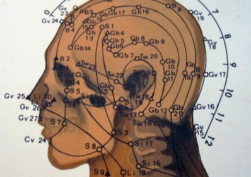 Акупунктура впервые получила биохимическое обоснование