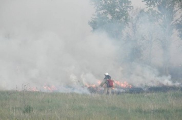 Многочисленные пожары: на Луганщине ликвидированы 11 возгораний