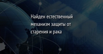 Найден естественный механизм защиты от старения и рака