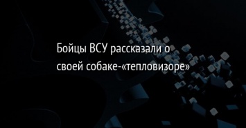 Бойцы ВСУ рассказали о своей собаке-«тепловизоре»