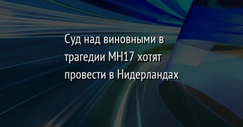 Суд над виновными в трагедии МН17 хотят провести в Нидерландах