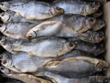 В Мелитополе запретили продавать непромышленную рыбу