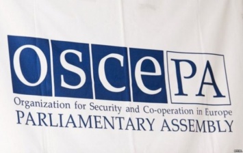 Россия предложит ОБСЕ принять резолюцию против Украины