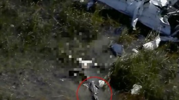 Аллигатор съел упавшего в болото летчика (фото)