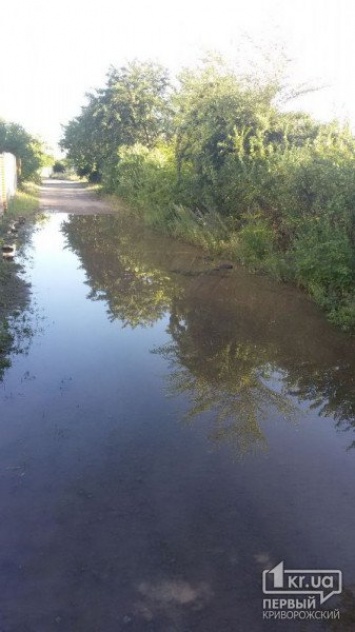 Кто заплатит за водоем во дворе частного дома?