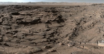 Поверхность Марса лишена известных форм жизни: исследование перхлоратов