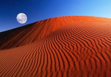 Ученые рассказали, когда Сахара превратится в тропики