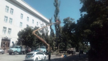 Санитарная обрезка деревьев дошла и до зарослей за Херсонской ОГА (фотофакт)