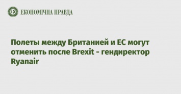 Полеты между Британией и ЕС могут отменить после Brexit - гендиректор Ryanair