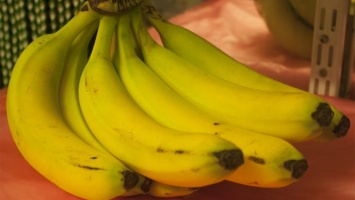 Ученые вывели особые бананы с витаминами