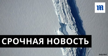 От Антарктиды откололся гигантский айсберг. Он больше Киева в 7 раз!