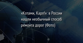 «Котами, Карл!»: в России нашли необычный способ ремонта дорог (Фото)