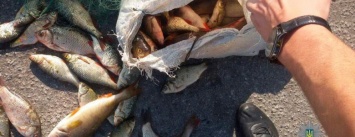 На трассе Днепр-Запорожье полиция задержала браконьеров с мешком рыбы, - ФОТО