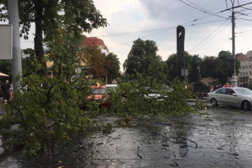 На Львов налетела буря. Повалены деревья и сорваны крыши